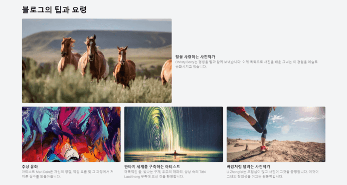 Shutterstock 쿠폰